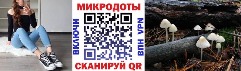 нарко площадка официальный сайт  Жирновск  Галлюциногенные грибы прущие грибы  купить наркотики сайты 